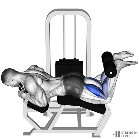 Leg curl machines achieve this by having an angled bench. The dumbbell leg curl is useful when you don’t have access to a leg curl machine. Otherwise, the leg curl machine is recommended for leg curls. See also lying leg curl, seated leg curl, and kneeling leg curl. Dumbbell leg curl video